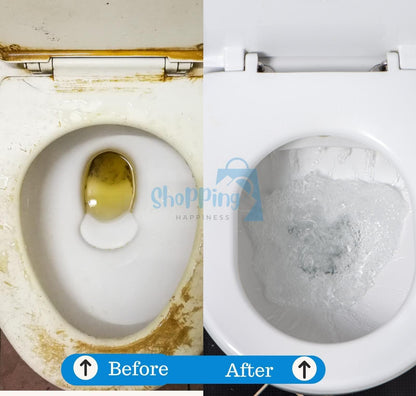 Powder Foaming Toilet Cleaner 100 gm (Pack of 2)